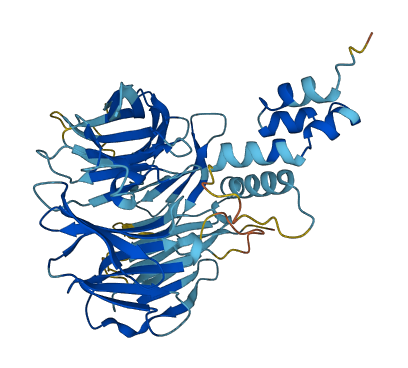 Fbxw15 3D structure
