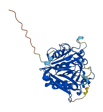 DNASE2 3D structure