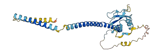 UBXN8 3D structure