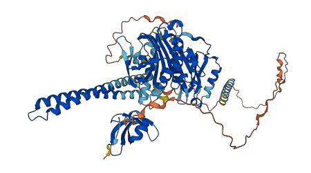 KIF2A 3D structure