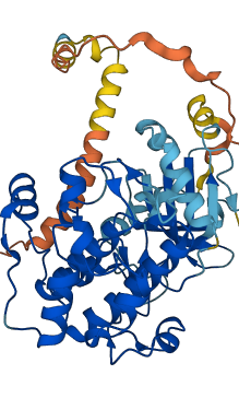 SGK1 3D structure