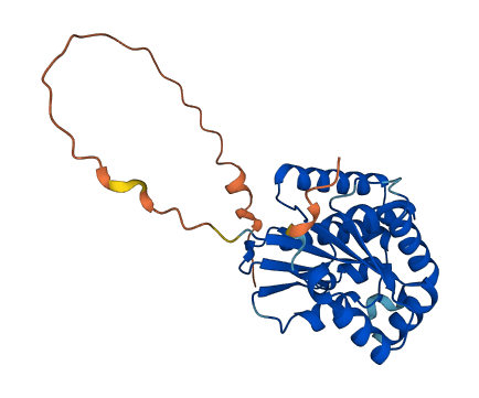 TK2 3D structure