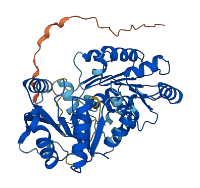 DDX39A 3D structure
