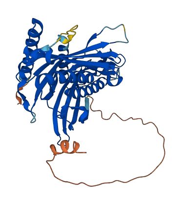 ACOT7 3D structure