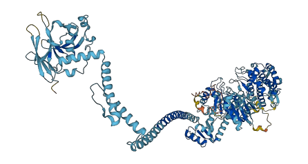MYO1C 3D structure