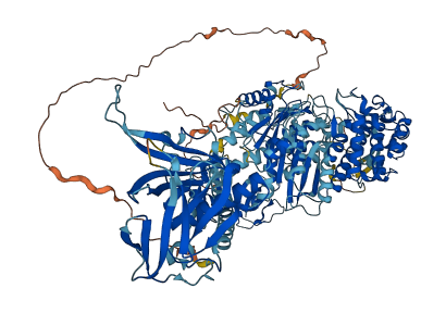 MYO1F 3D structure