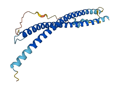 SNAP23 3D structure