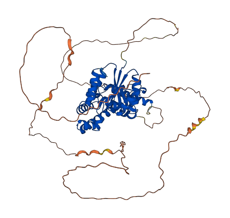 EYA2 3D structure