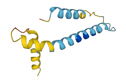 FXYD1 3D structure