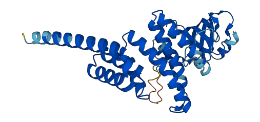 AIP 3D structure