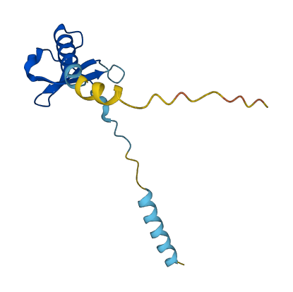 CCL24 3D structure