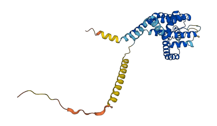 KCNK1 3D structure