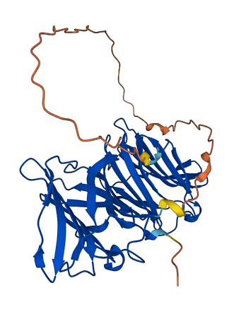 LGALS9 3D structure
