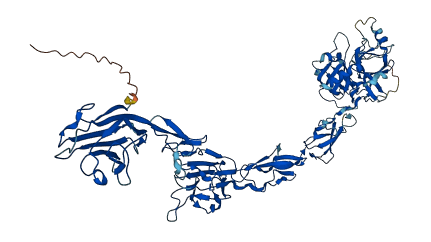 MASP2 3D structure