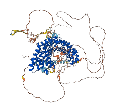 ARVCF 3D structure