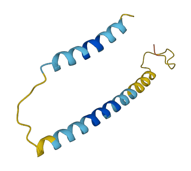 HRK 3D structure