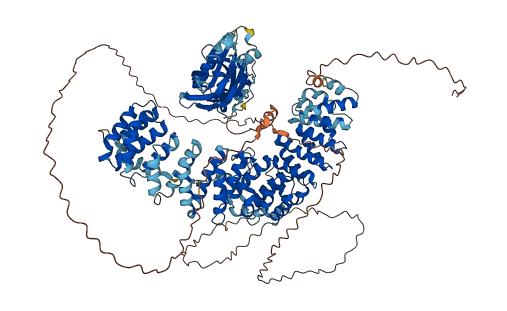 AP3B1 3D structure