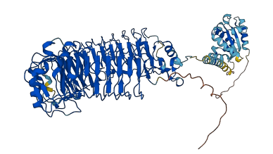 TLR4 3D structure