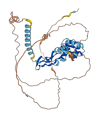 TNFRSF10A 3D structure