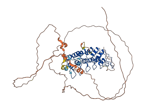 NFKBIE 3D structure