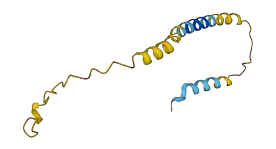CORT 3D structure