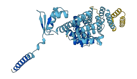 PSMD11 3D structure