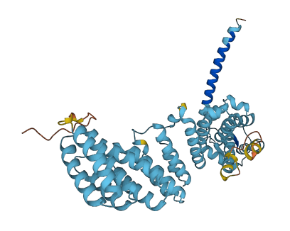PSMD12 3D structure