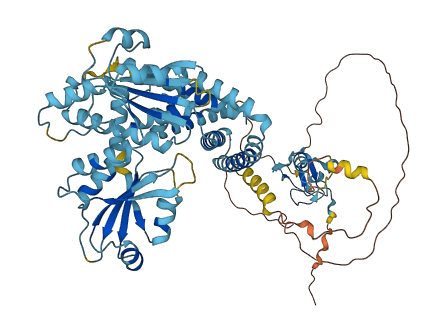 RNF103 3D structure