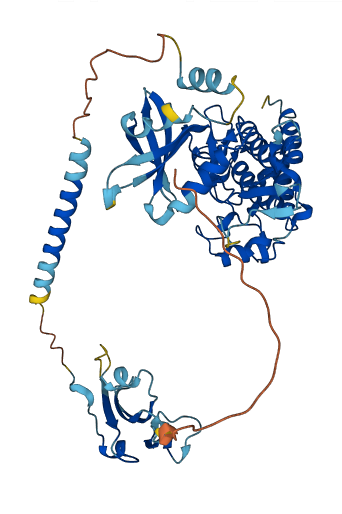 BMPR1B 3D structure