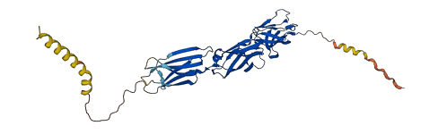 SIRPB1 3D structure