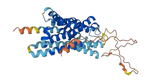 F2RL2 3D structure