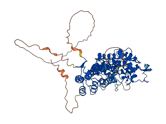 MEN1 3D structure