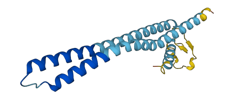 WRB 3D structure