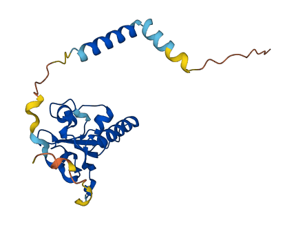 PGRMC1 3D structure