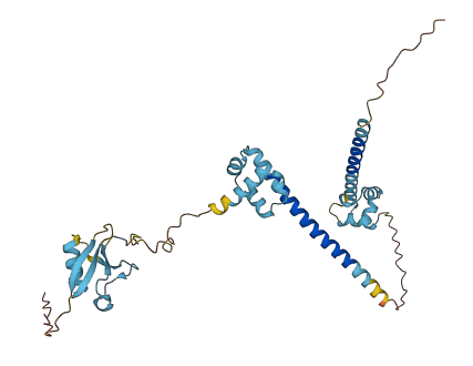 DFFA 3D structure