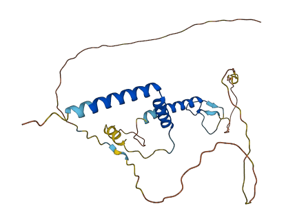 RFXAP 3D structure