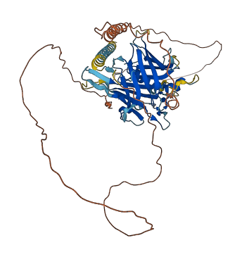 TULP2 3D structure