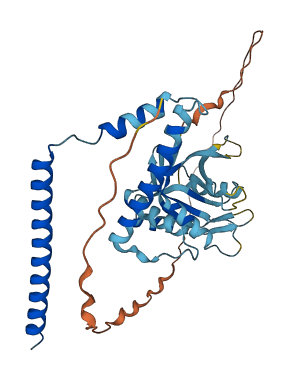 EIF3F 3D structure
