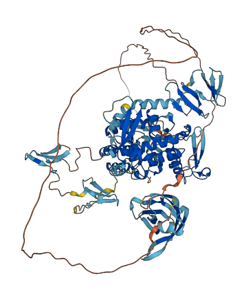 WWP2 3D structure