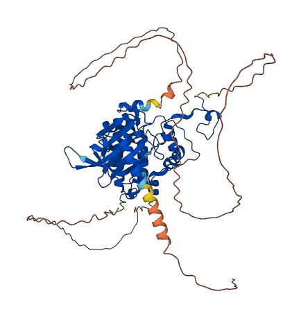 CDC7 3D structure