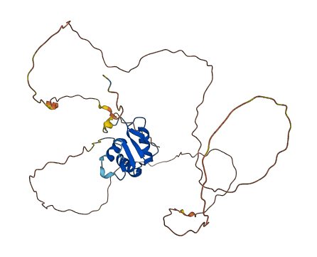 ETV2 3D structure