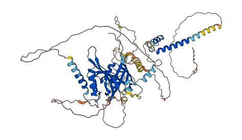 ARNTL 3D structure