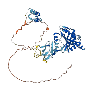 PDHX 3D structure