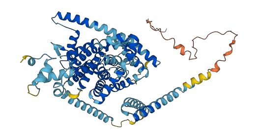 SLC28A1 3D structure