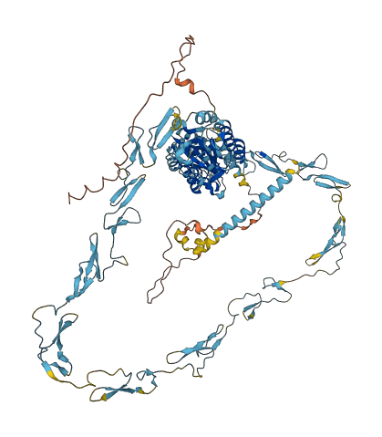 MATN2 3D structure