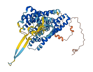 SLC1A7 3D structure