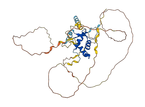 FOXE1 3D structure