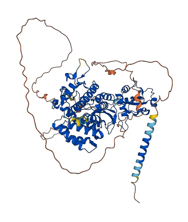 QSOX1 3D structure