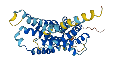 P2RY10 3D structure