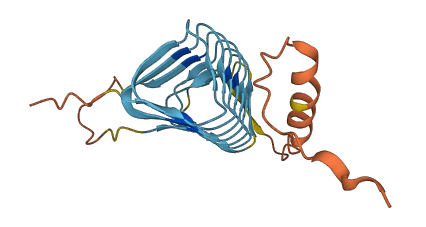 DCTN6 3D structure